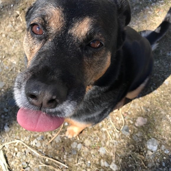 Meet the Posher - Picture 2 of 6